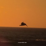 Pelikan über dem Pazifik